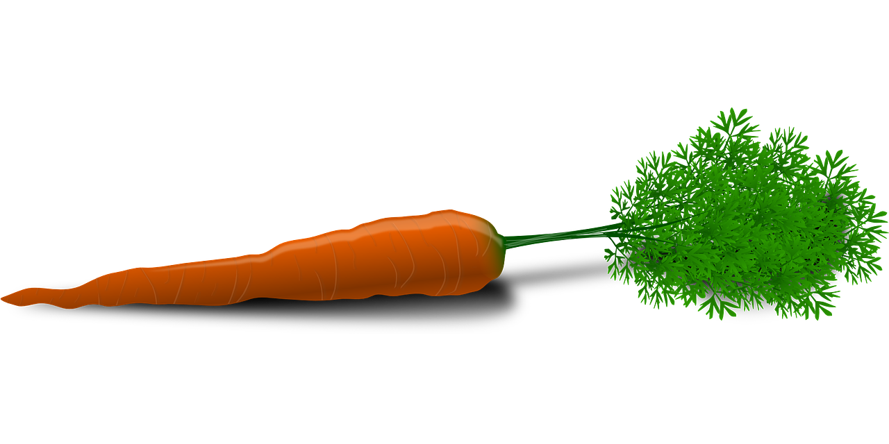 Carrots for Healthy Hair