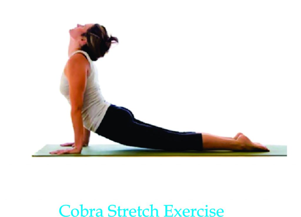 cobra stretch grow taller exercise