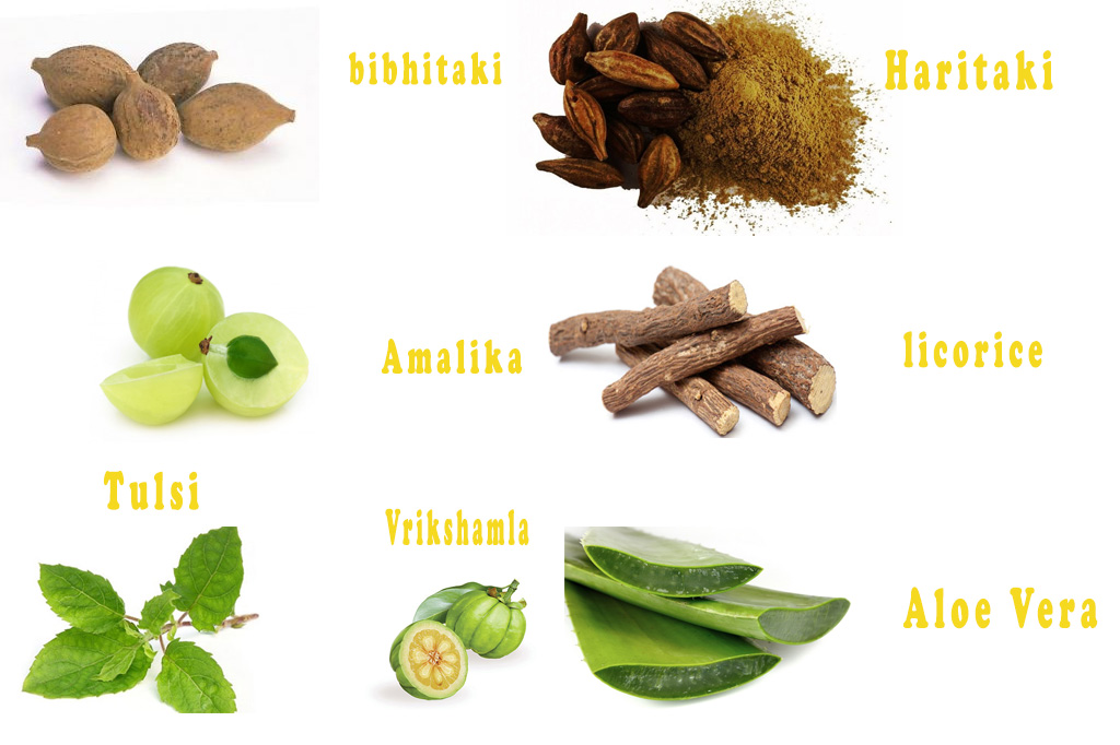 10 Ayurvedic Supplements For Weight Loss - Find Health Tips