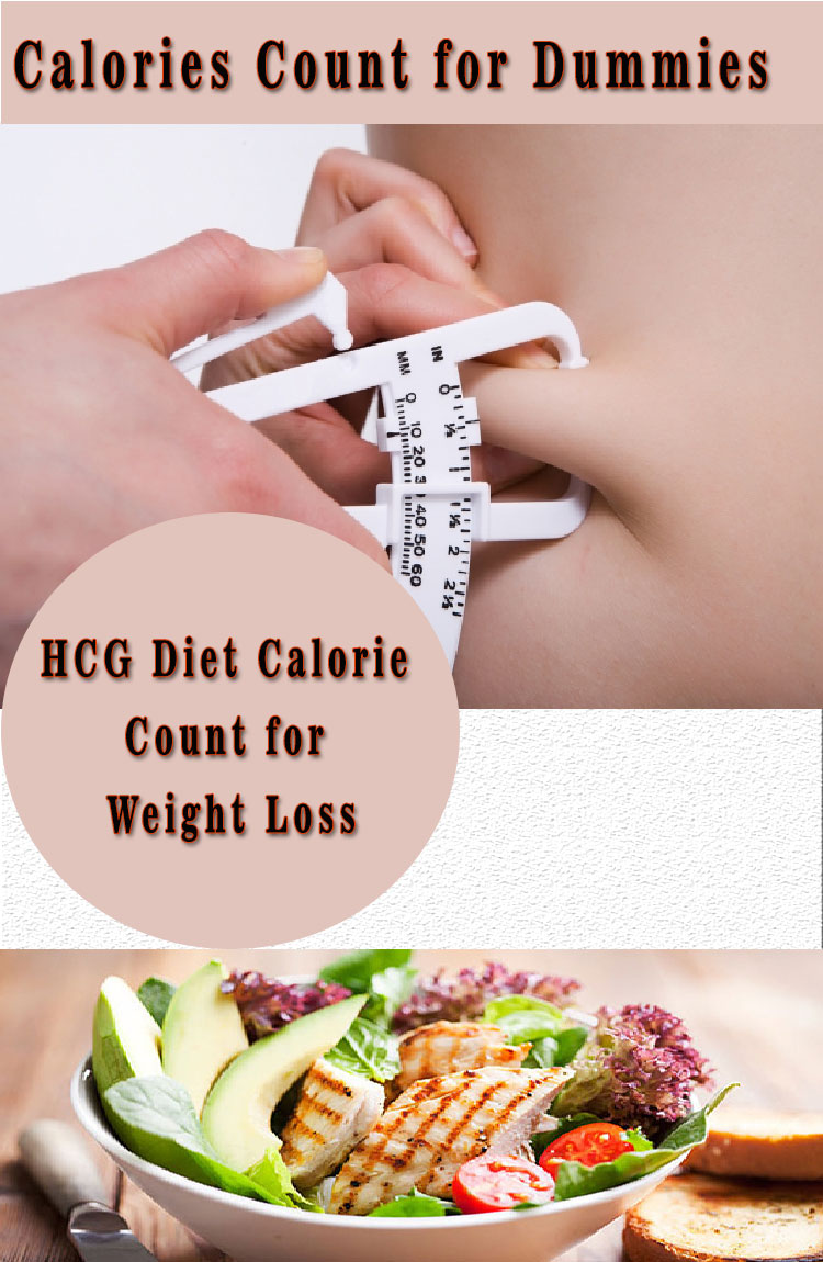 calorie-counting-for-dummies-find-health-tips