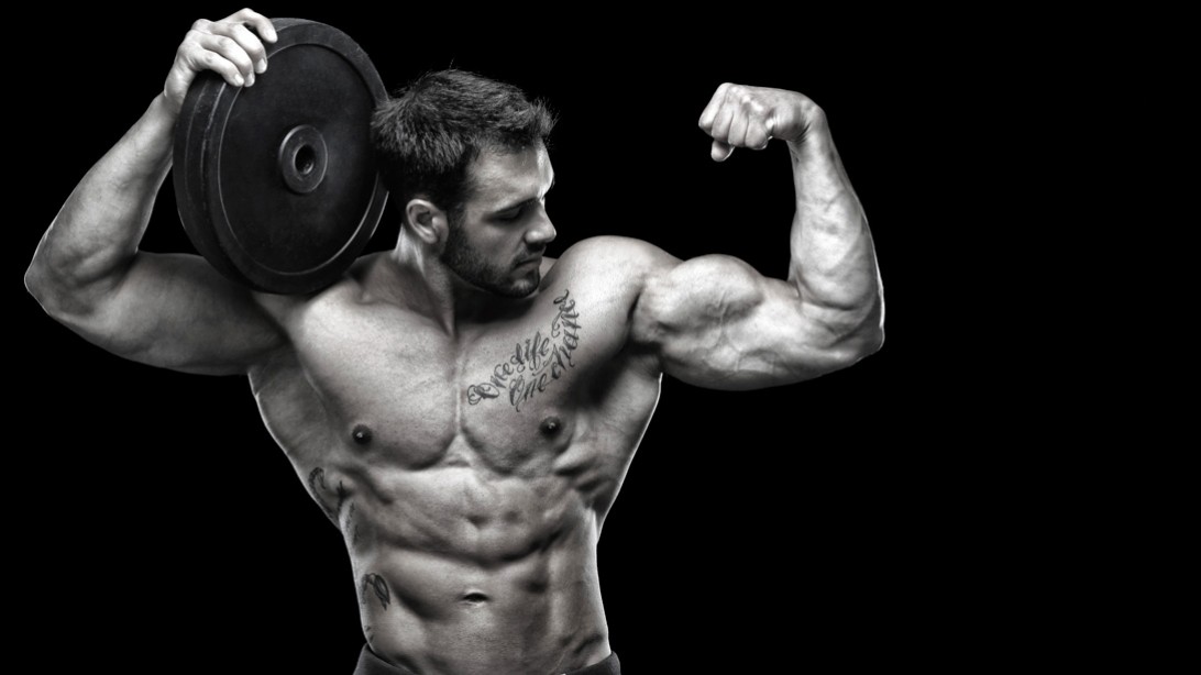 bodybuilding bodybuilding