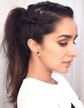 The Braided Pony - Ladies Hairstyle 2019