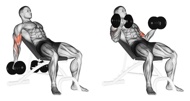 Incline dumbbell curls - Build Biceps Fast