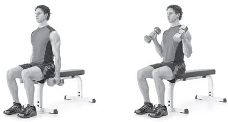 Seated Hammer Curls - Build Biceps Fast
