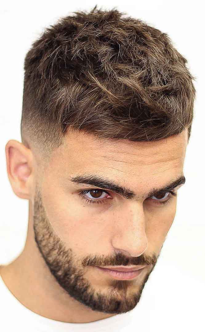 french crop haircut - connected beard haircut - Men Hairstyles 2019