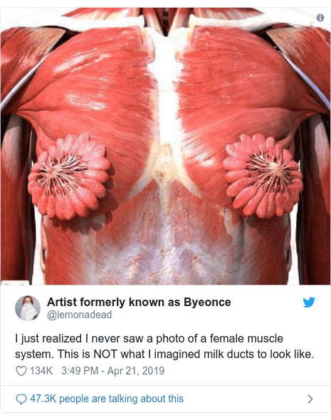 You will be shocked to see the Pictures of Female Breast Muscles 