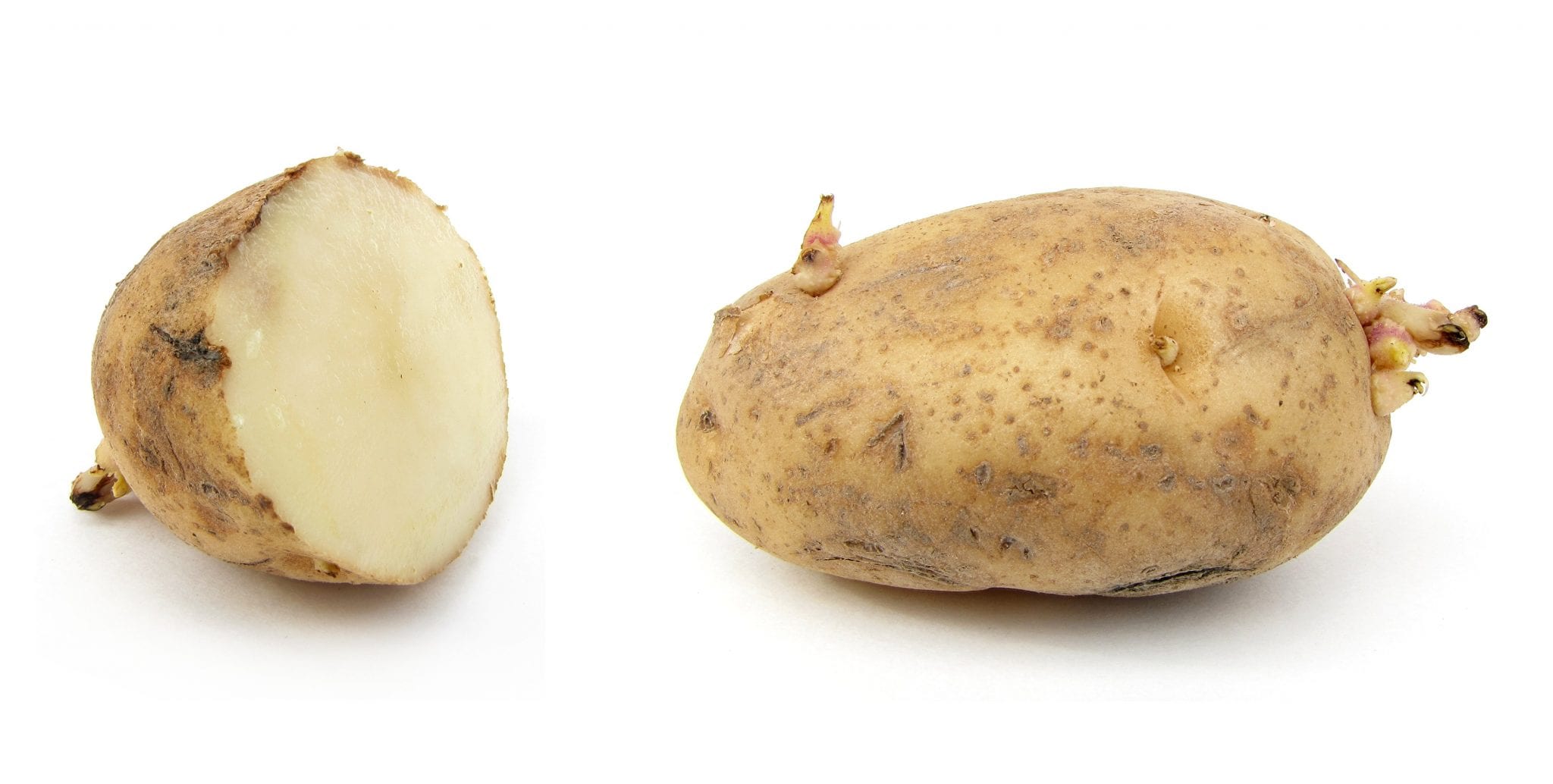 Potato - remove tan from arms instantly