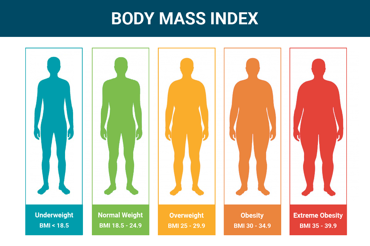 What Is My Bmi If I Weight 67 Kg