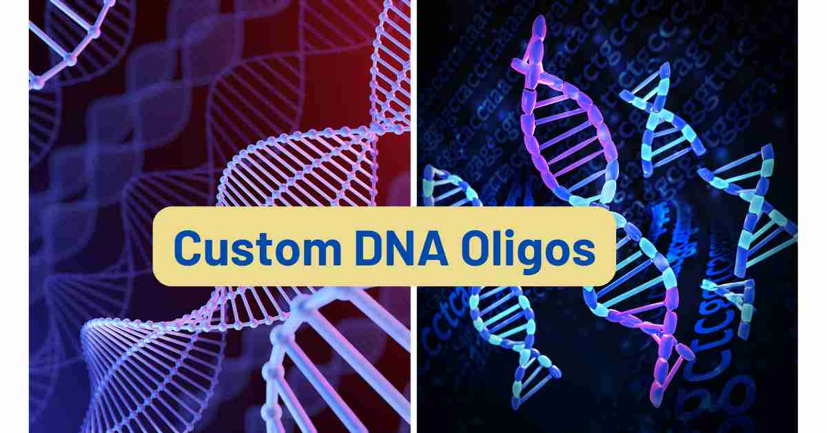 Essential Concepts Of Custom Dna Oligos In Molecular Biology And Health Diagnostics - Find Health Tips -