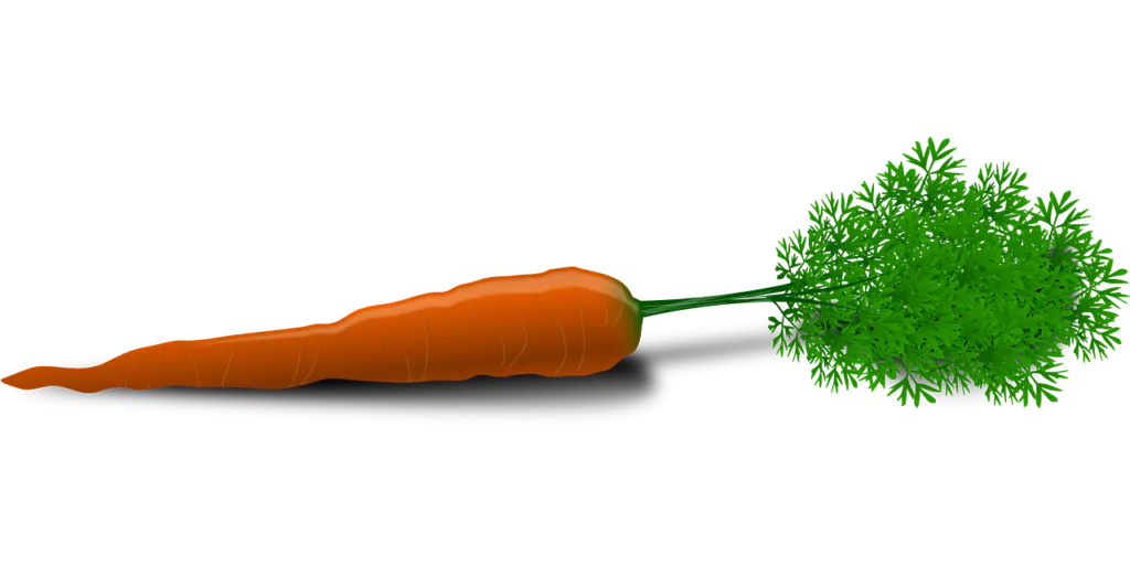 Top 14 Foods for Healthy Hair