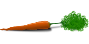 Carrots for Healthy Hair