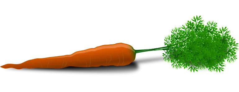 Carrots for Healthy Hair