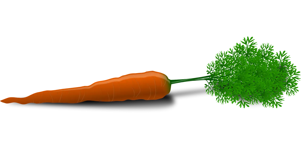 Carrots for Healthy Hair