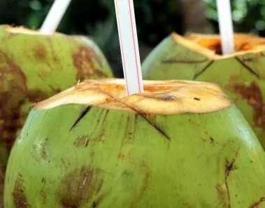 List of Sugar Free or Low Sugar Drinks 1 Sugar Free Drinks - Coconut Water