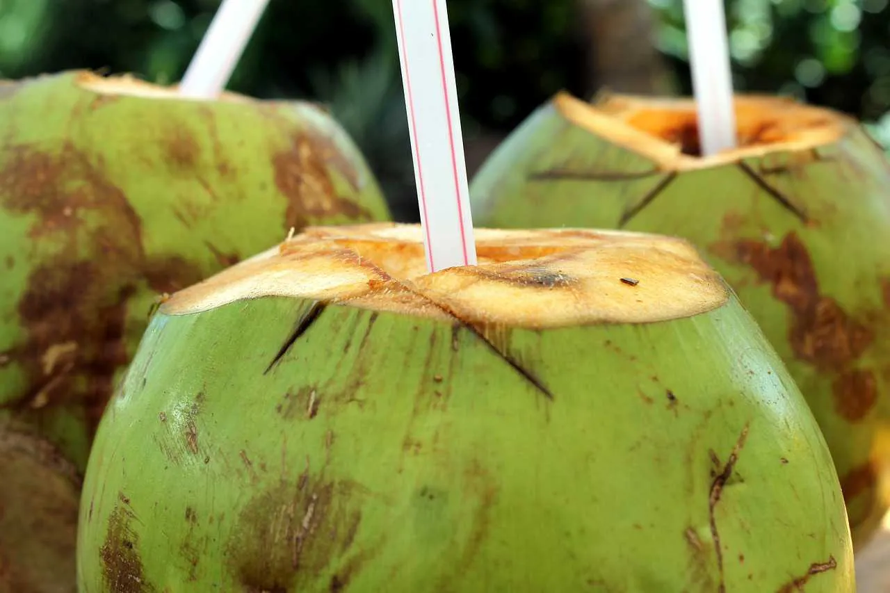 Sugar Free Drinks - Coconut Water