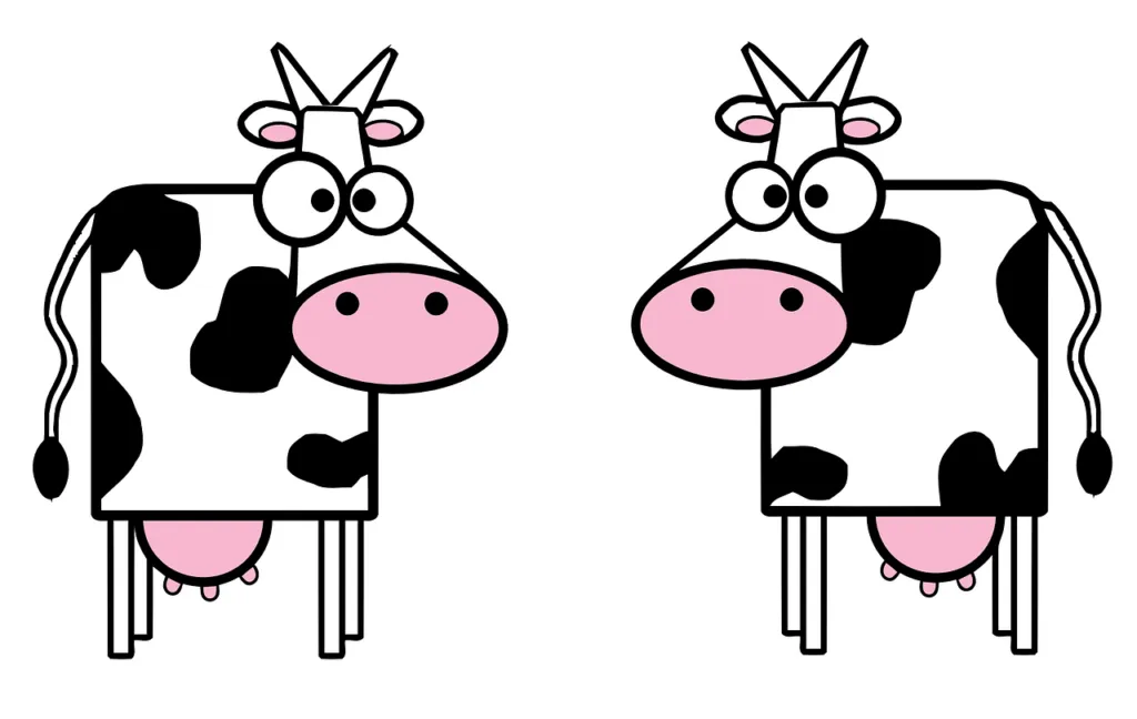 List of Dairy Products which are Rich Source of Fats