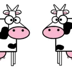Cow Dairy Products