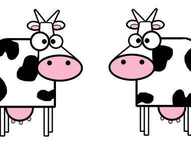 List of Dairy Products which are Rich Source of Fats 1 Cow Dairy Products