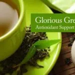 Green Tea Antioxidant