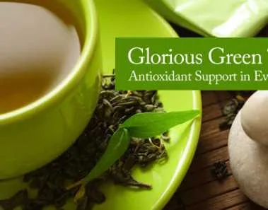 How is Green Tea A Good Source of Antioxidants 1 Green Tea Antioxidant