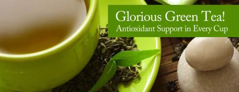 Green Tea Antioxidant