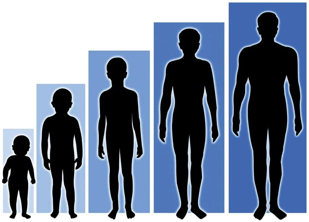 How to Grow Taller – The Complete Guide