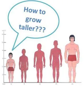 How to Grow Taller How to Grow Taller