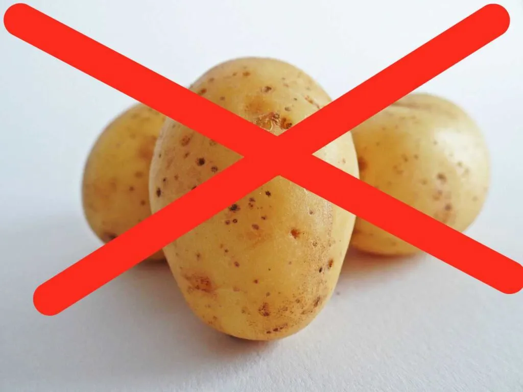 It’s Proven – Carbless Diet Shockingly Burnt 300 Calories in a Day!