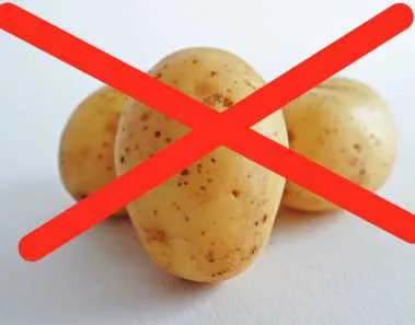 It’s Proven – Carbless Diet Shockingly Burnt 300 Calories in a Day! 1 Low Carb Diet Pros and Cons