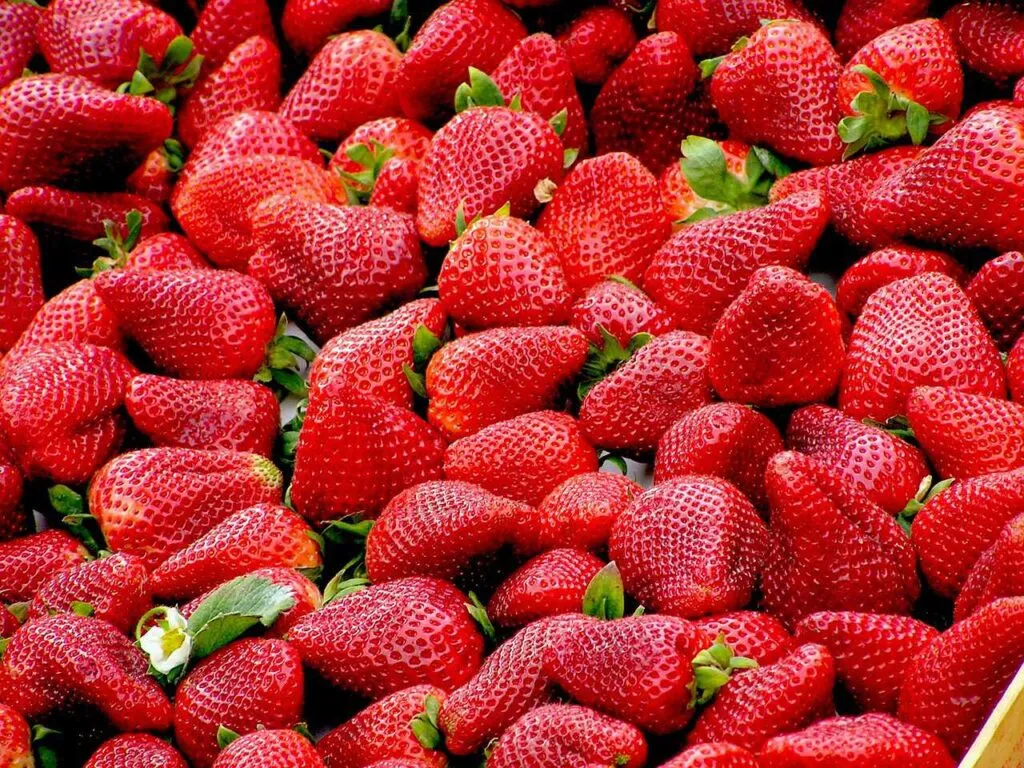 Top 6 Fruits to Lose Weight