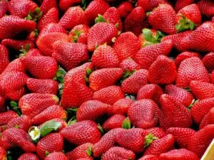 Strawberries for weight loss