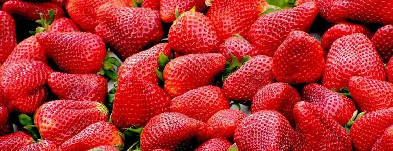 Strawberries for weight loss