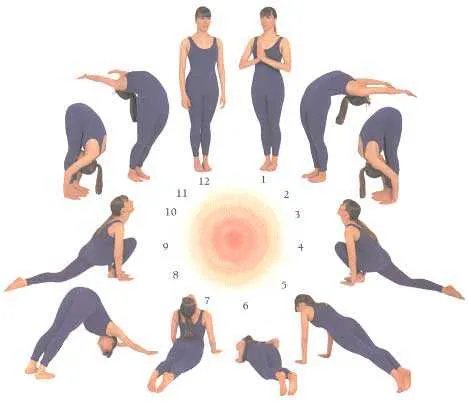 Best Yoga Asanas to Lose Weight and Stay Fit 1 Surya Namaskar Step By Step