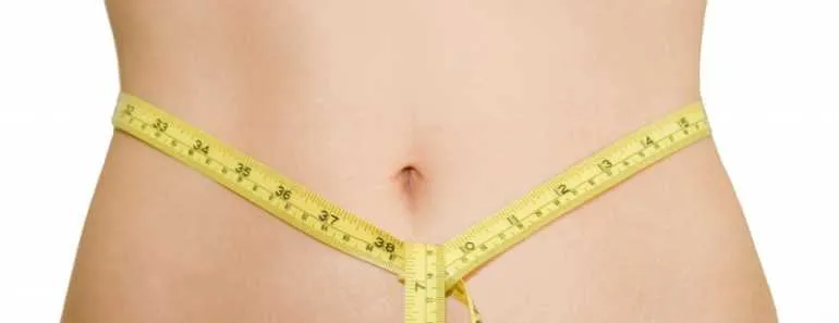 fat burning diet plan