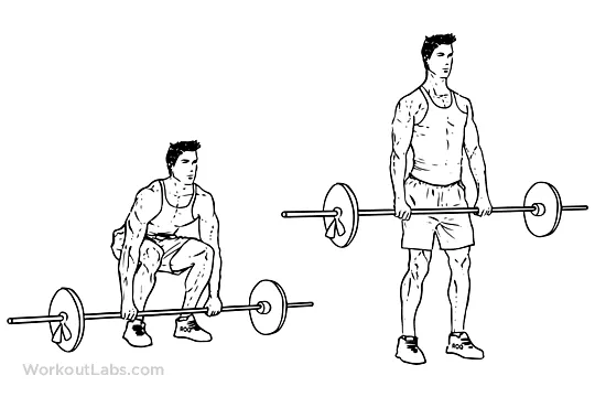 Barbell deadlift