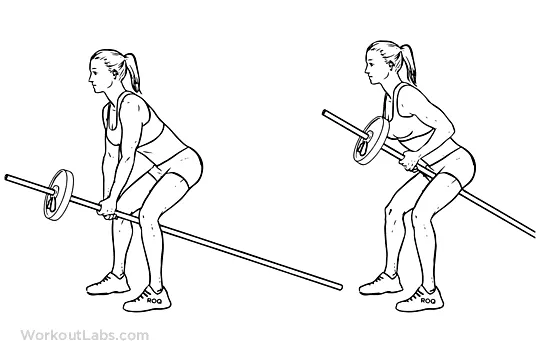 Bent over one arm long bar row