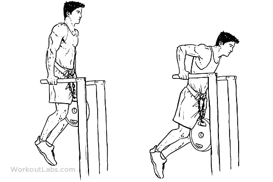 Dips – triceps version