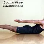 Locust Pose Shalabhasana