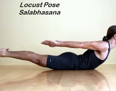 Learn about Salabhasana (Locust Pose) & their Benefits 5 Locust Pose Shalabhasana