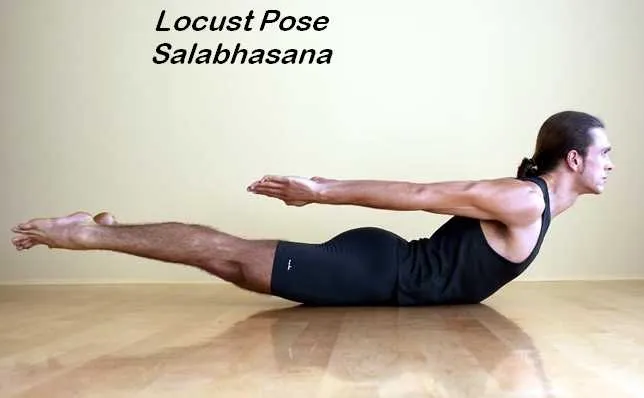 Learn about Salabhasana (Locust Pose) & their Benefits