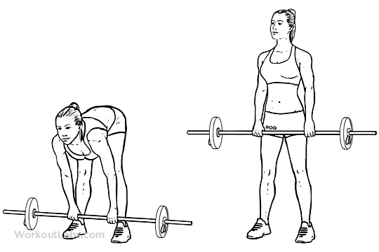 Stiff legged barbell deadlift