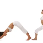 Vinasya Yoga Benefits