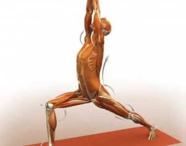 virabhadrasana i warrior i pose