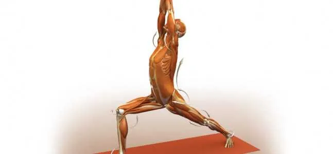The Health Benefits of Virabhadrasana I (Warrior I Pose)