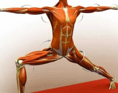 virabhadrasana ii warrior ii pose