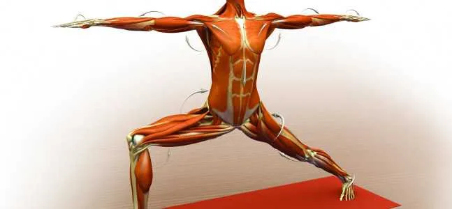 The Health Benefits of Virabhadrasana II (Warrior II Pose)