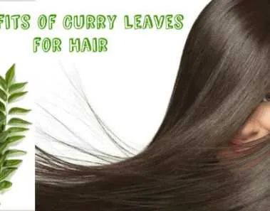Get rid of Hair Problems with Curry Leaves 1 Benifits of Curry Leaves