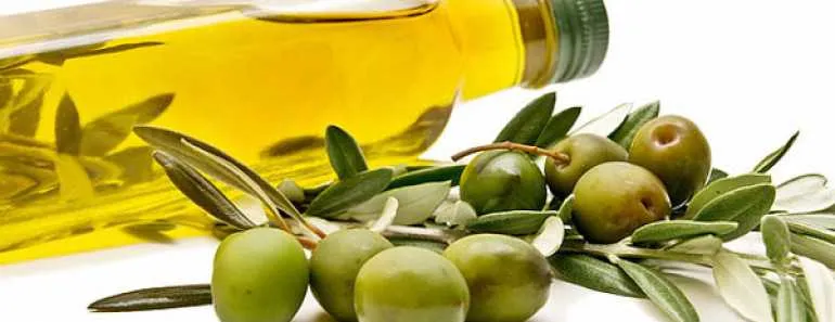 Olive Oil