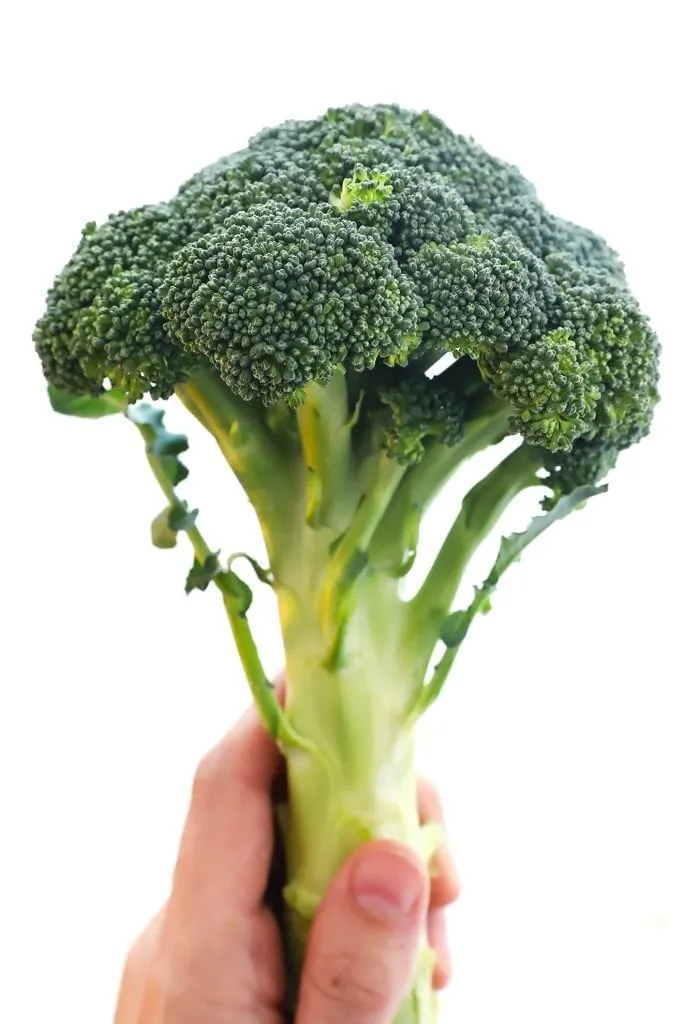 Broccoli