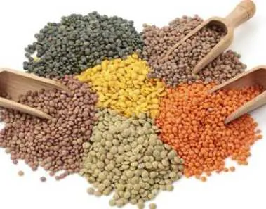 Your mom was right. Pulses have the Health Benefits 1 pulses health benefits